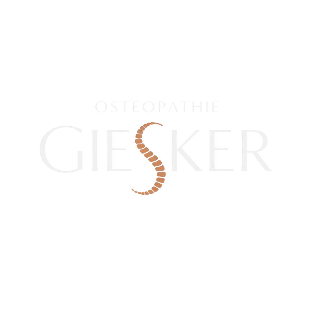 Weiß ohne Hintergrund