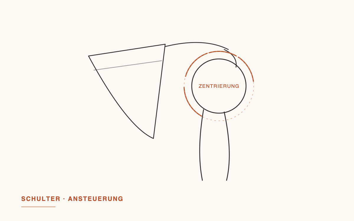 Illustration des Schultergelenks mit der Rotatorenmanschette