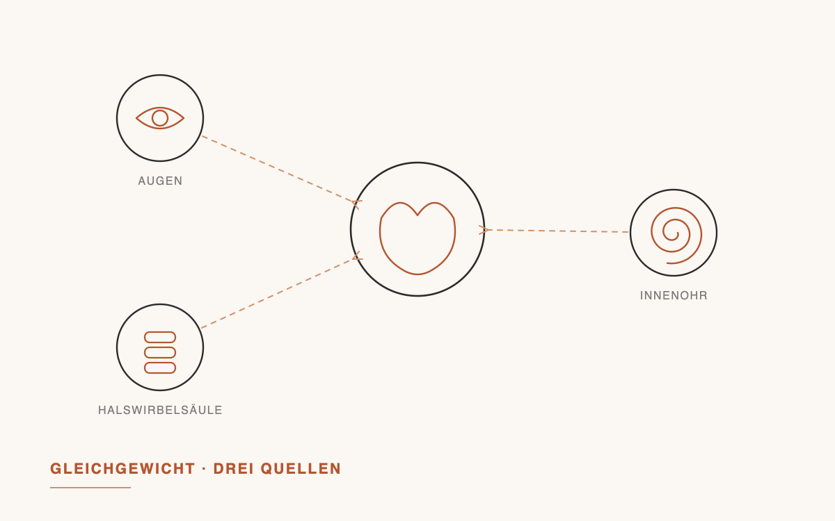 Illustration: Augen, Innenohr und Halswirbelsäule liefern Informationen ans Gehirn